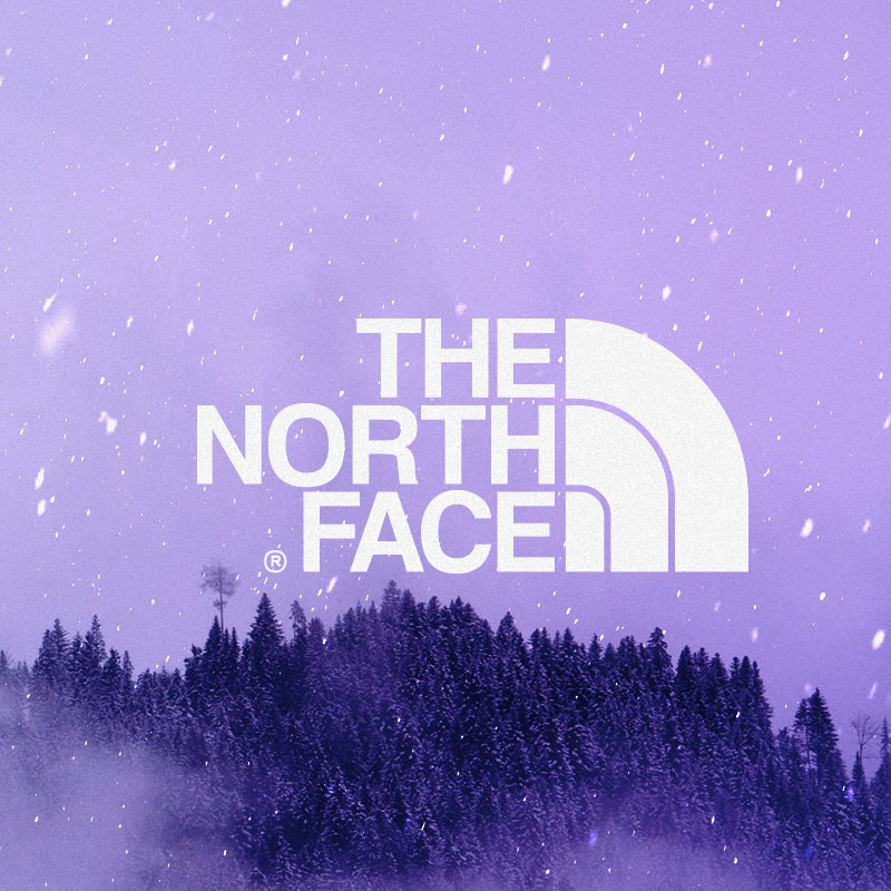 </br><center><b>THE NORTH FACE</center></b>